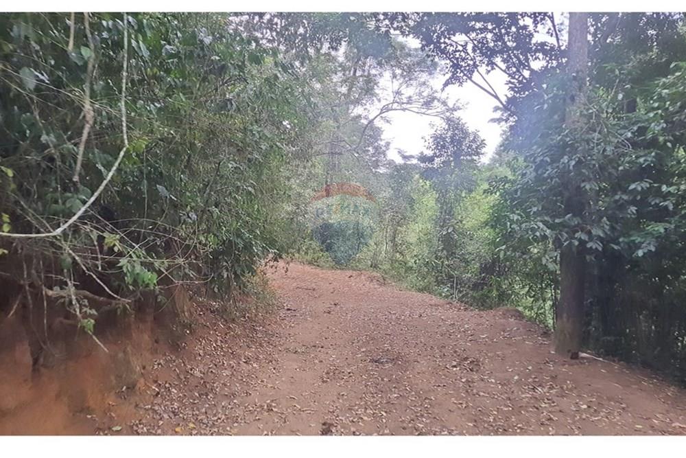 Fazenda - Venda - Teresópolis , Rio de Janeiro - 20250702_155301.jpg - 630191078-25