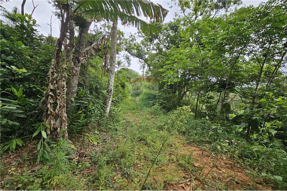 Terreno - Venda - Nova Friburgo , Rio de Janeiro - 42 - 630551016-143