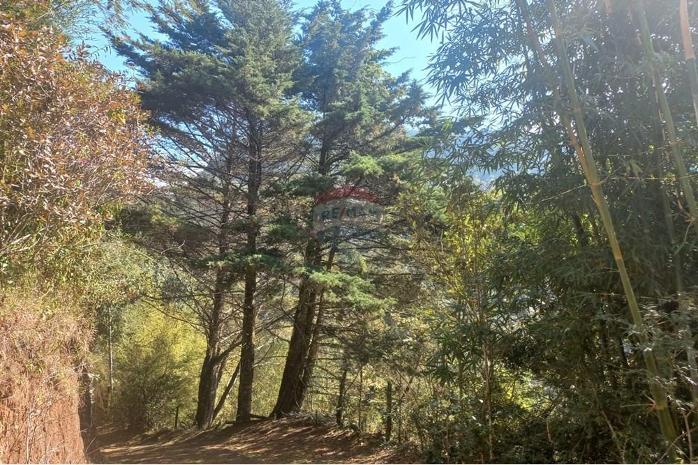 Chácara / Sítio / Fazenda - Venda - Nova Friburgo , Rio de Janeiro - WhatsApp Image 2025-07-21 at 11.11.11.jpeg - 630551037-31