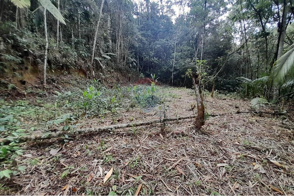 Terreno - Venda - Teresópolis , Rio de Janeiro - 20251012_092524.jpg - 630191084-20