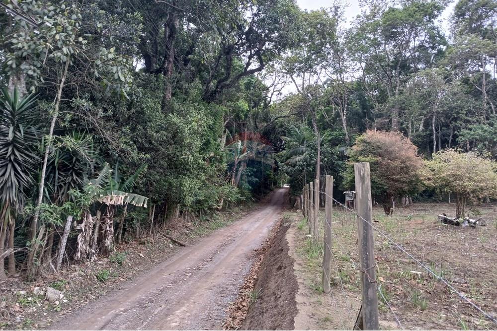 Terreno - Venda - Mogi das Cruzes , São Paulo - 20241113_155004.jpg - 631251047-37