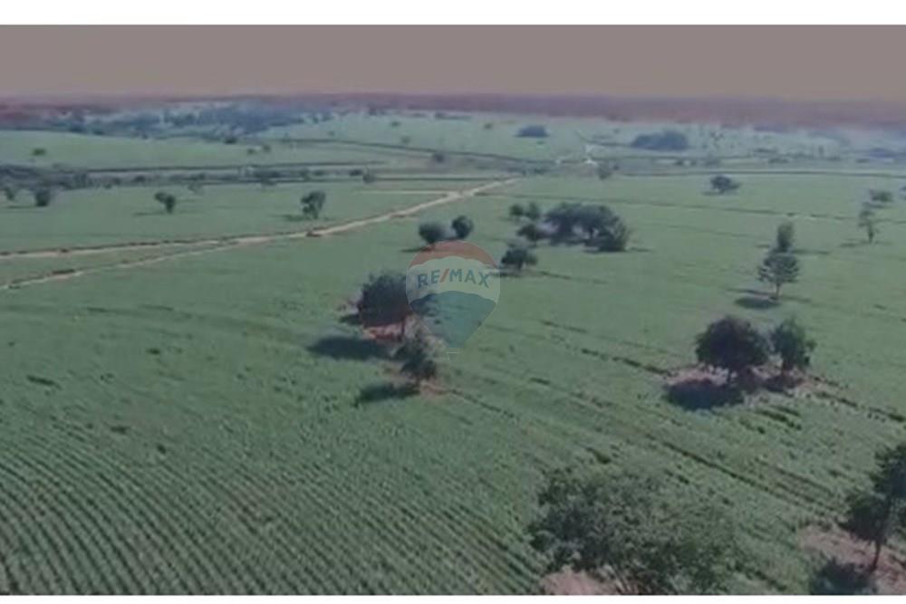 Chácara / Sítio / Fazenda - Venda - Estrela d'Oeste , São Paulo - Captura-de-tela-2025-01-03-160000.jpg - 630541038-18