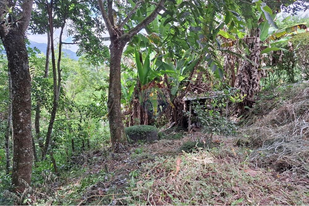 Casa - Venda - Nova Friburgo , Rio de Janeiro - 7.jpg - 630551089-1