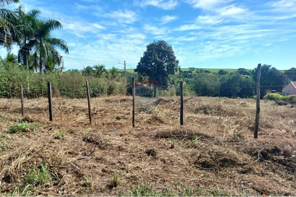 Terreno - Venda - Lins , São Paulo - WhatsApp Image 2025-01-02 at 22.58.06.jpeg - 631011037-12