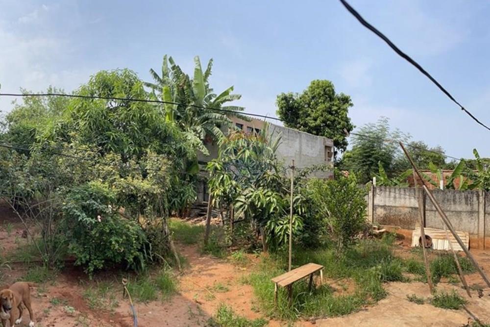 Casa - Venda - São José do Rio Preto , São Paulo - pomar 1.jpeg - 631481003-233