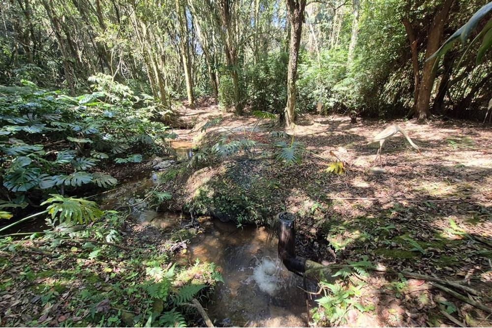 Chácara / Sítio / Fazenda - Venda - Ibiúna , São Paulo - 49.jpeg - 631331004-49