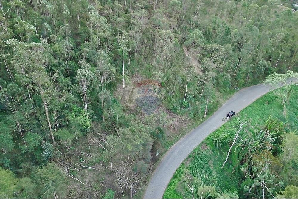 Terreno - Venda - Nova Friburgo , Rio de Janeiro - 4A70BACE266224BB0C3CEAA07DEFE916.jpg - 630551061-84