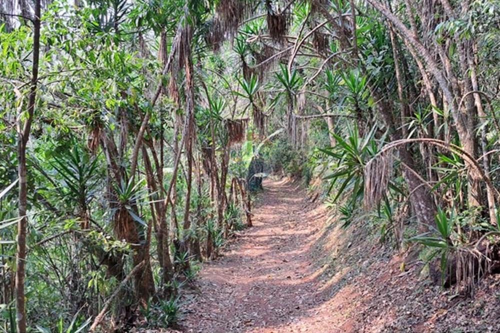 Chácara / Sítio / Fazenda - Venda - Araçariguama , São Paulo - IMG-20240913-WA0054.jpg - 631601010-7