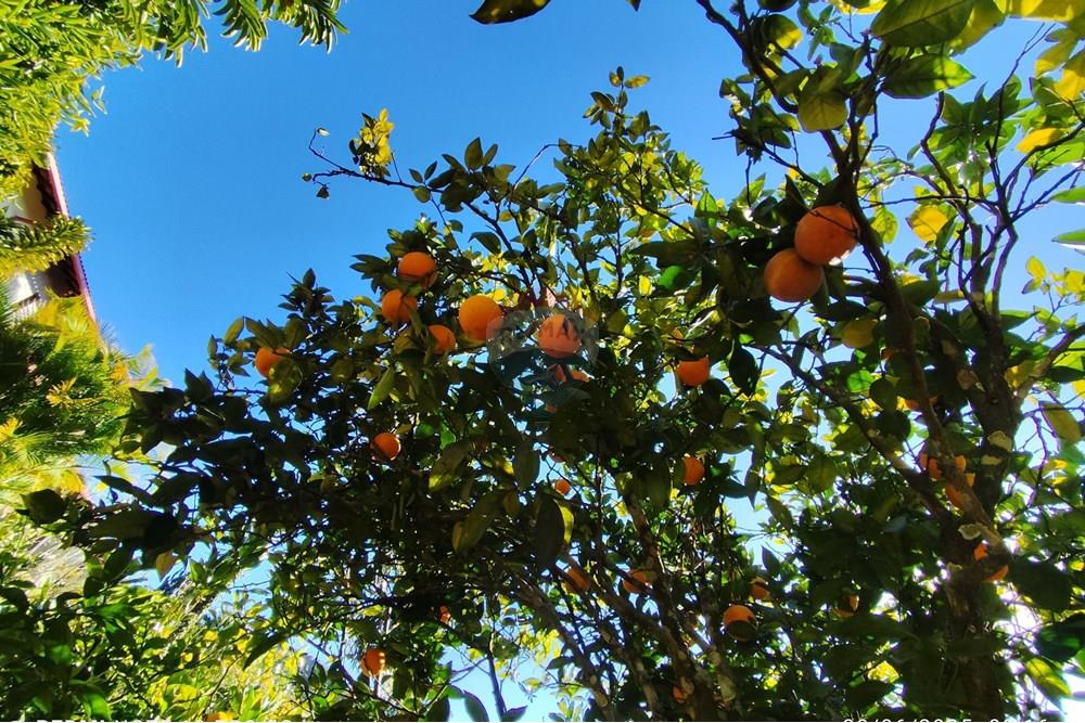 Casa - Alugar - Teresópolis , Rio de Janeiro - WhatsApp Image 2025-07-09 at 10.13.25 (2).jpeg - 630191021-121