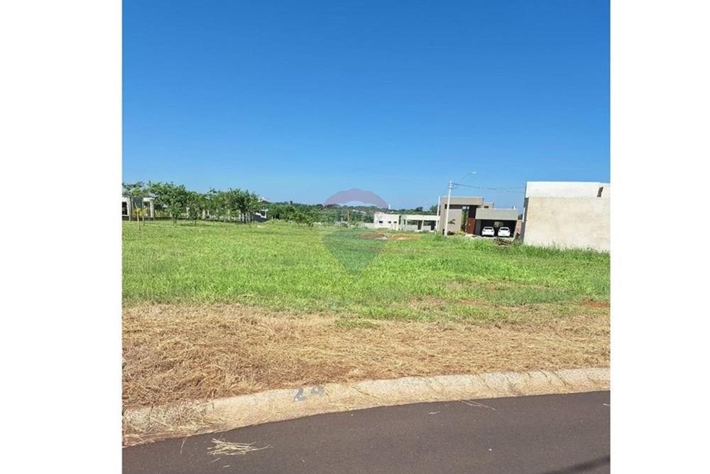 Terreno - Venda - Araçatuba , São Paulo - WhatsApp Image 2025-01-08 at 14.59.53 -.jpeg - 630541038-22