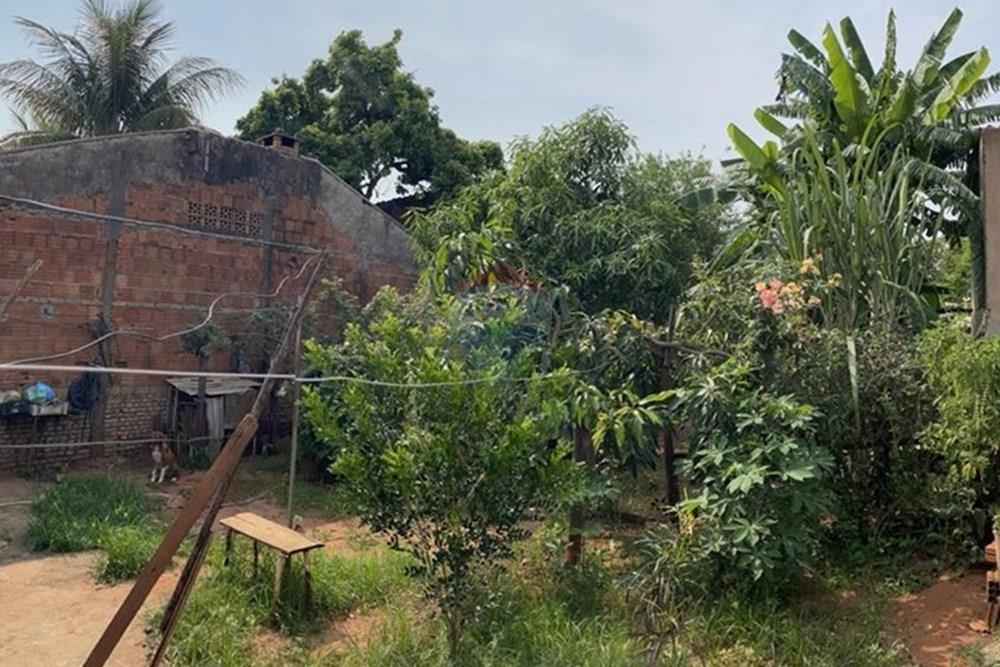 Casa - Venda - São José do Rio Preto , São Paulo - pomar 2.jpeg - 631481003-233