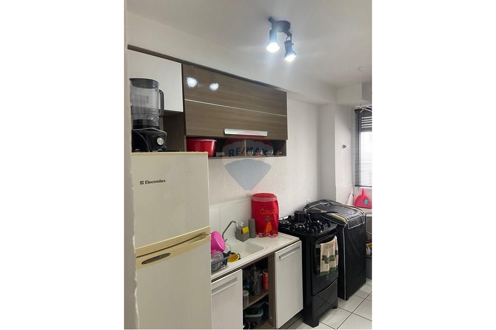 Apartamento - Alugar - São Paulo , São Paulo - WhatsApp Image 2025-10-10 at 11.47.14.jpeg - 630751044-399