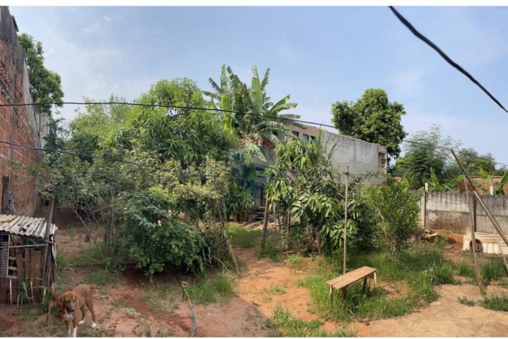 Casa - Venda - São José do Rio Preto , São Paulo - pomar 1.jpeg - 631481003-233