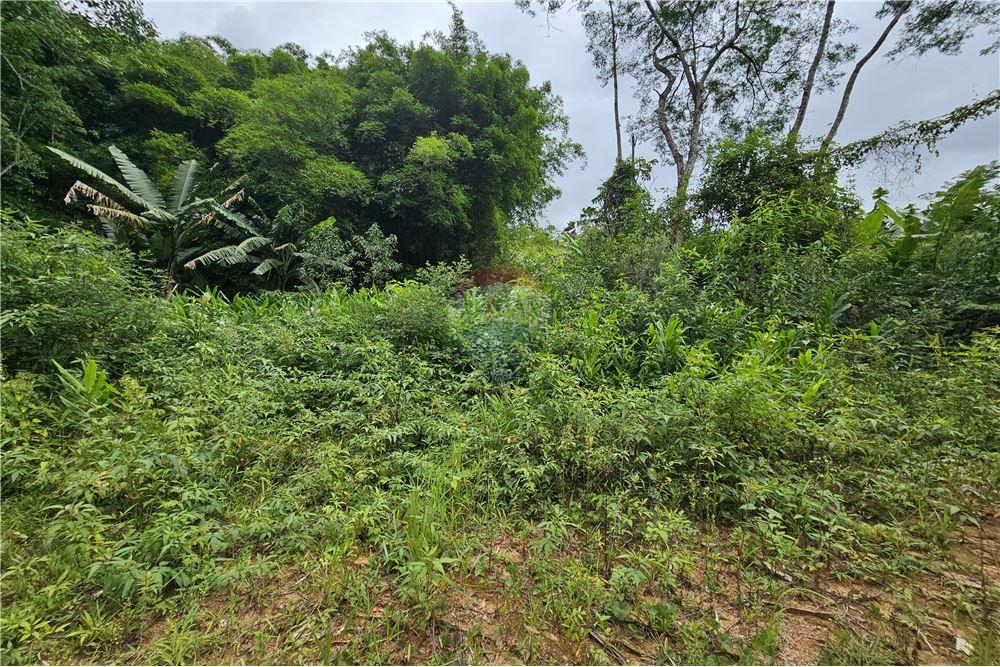 Terreno - Venda - Nova Friburgo , Rio de Janeiro - 36 - 630551016-143