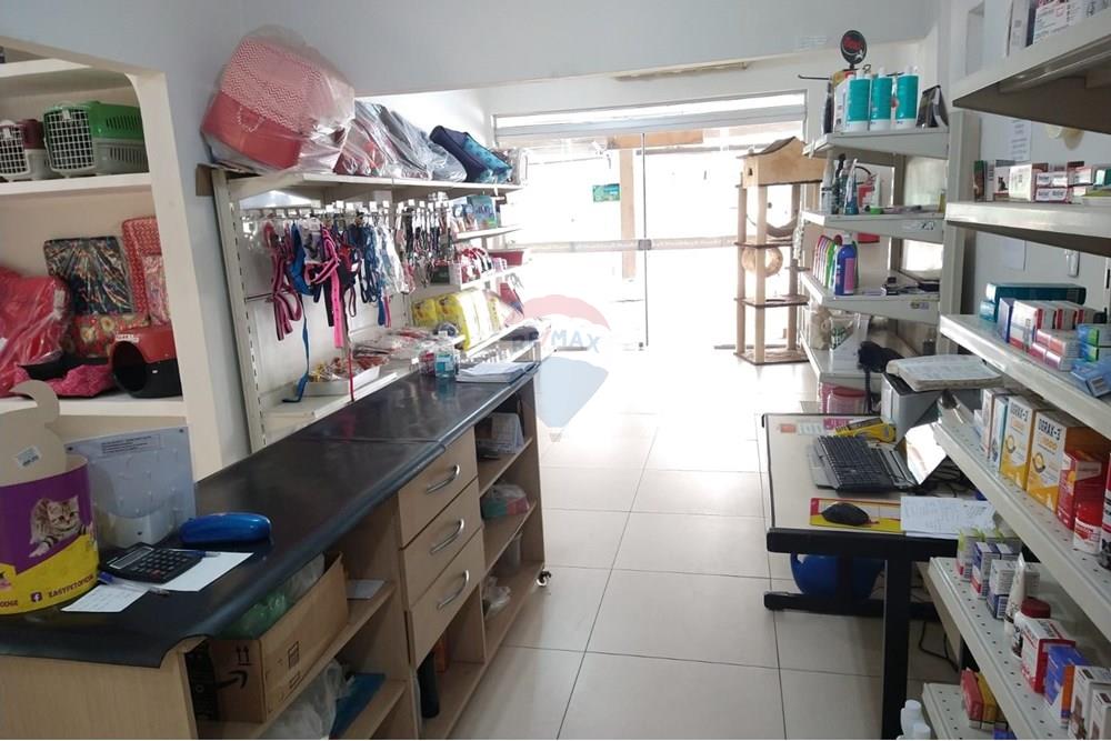 Casa Comercial - Alugar - São José dos Campos , São Paulo - PET SHOP 3.jpeg - 631471014-12