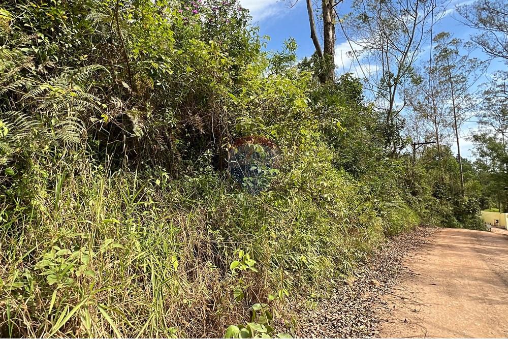 Terreno - Venda - Ribeirão Pires , São Paulo - IMG_2804.jpg - 631371018-44