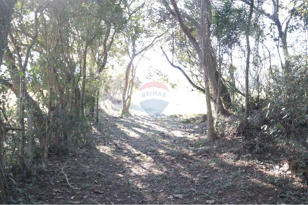 Casa de Campo - Venda - São Roque , São Paulo - IMG_4125.JPG - 631601009-26