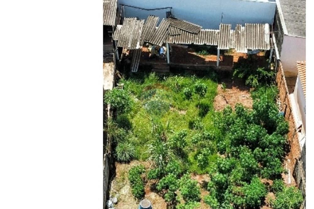 Terreno - Venda - Lins , São Paulo - WhatsApp Image 2025-01-13 at 13.51.12.jpeg - 631011046-1