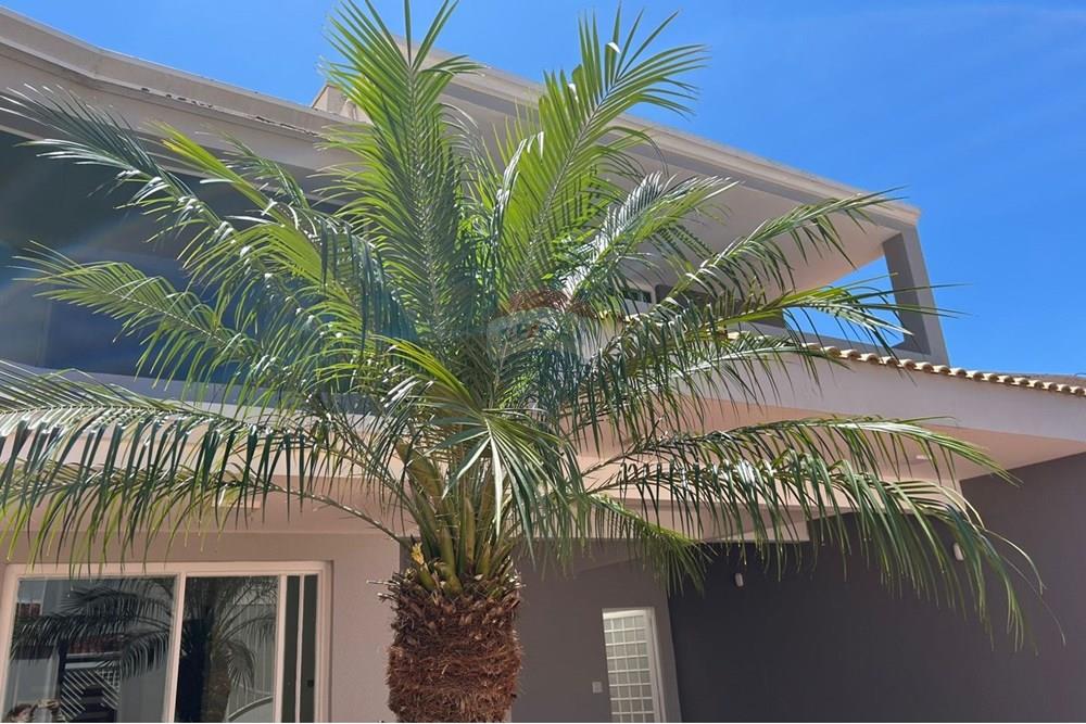 Casa - Alugar - Botucatu , São Paulo - WhatsApp Image 2025-10-30 at 09.02.19 (1).jpeg - 630481137-36