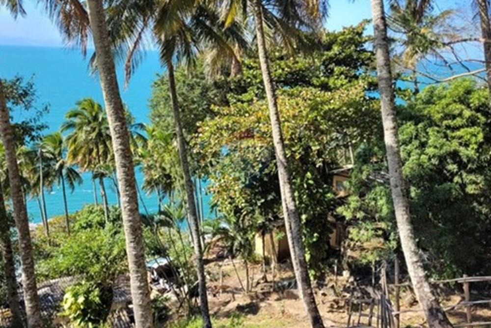 Terreno - Venda - Ilhabela , São Paulo - WhatsApp Image 2025-08-17 at 14.01.48 (1).jpeg - 690881023-41