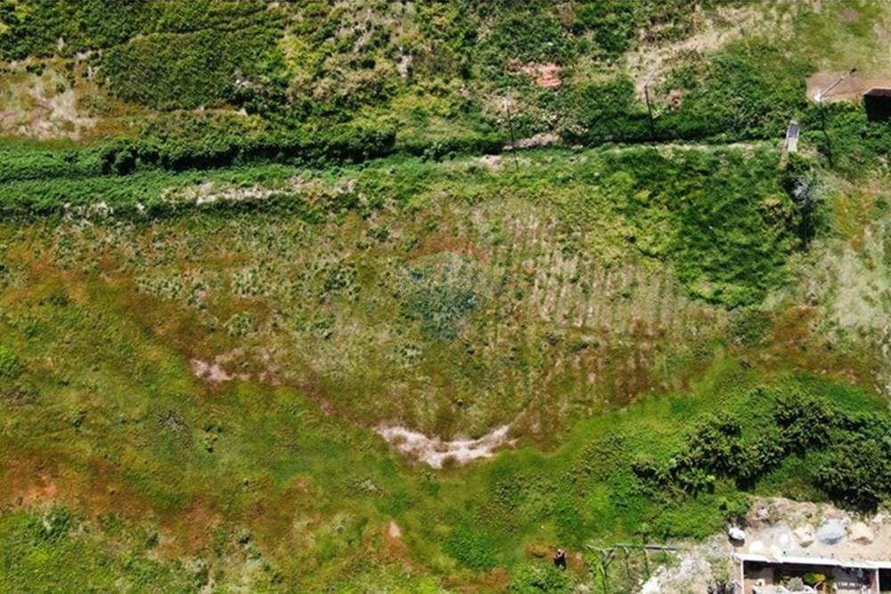 Terreno - Venda - Armação dos Búzios , Rio de Janeiro - dji_fly_20250819_142752_360_1755624508455_photo_optimized.JPG - 630391039-93