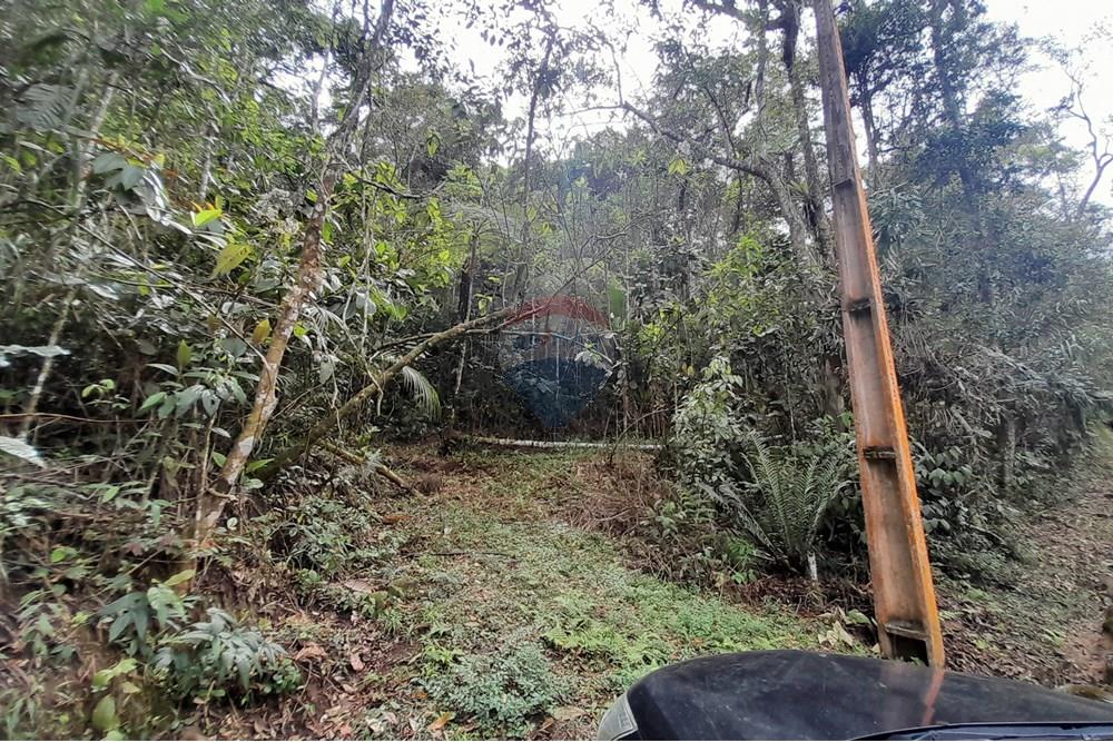 Terreno - Venda - Teresópolis , Rio de Janeiro - 20251012_092747.jpg - 630191084-20