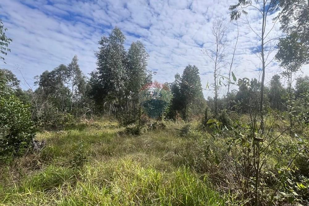 Terreno - Venda - Cabreúva , São Paulo - foto 21.jpg - 630531013-11