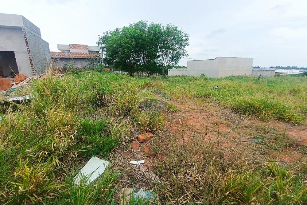 Terreno - Venda - Presidente Prudente , São Paulo - IMG_20251028_120137.jpg - 630861066-13