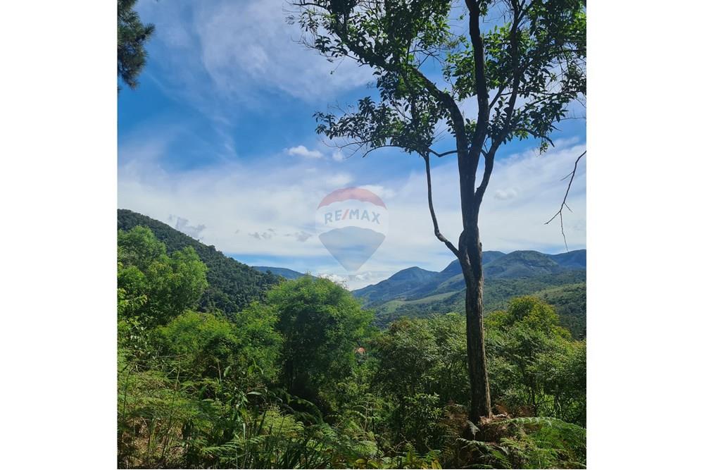 Terreno - Venda - Petrópolis , Rio de Janeiro - 20250101_092931.jpg - 630131068-35