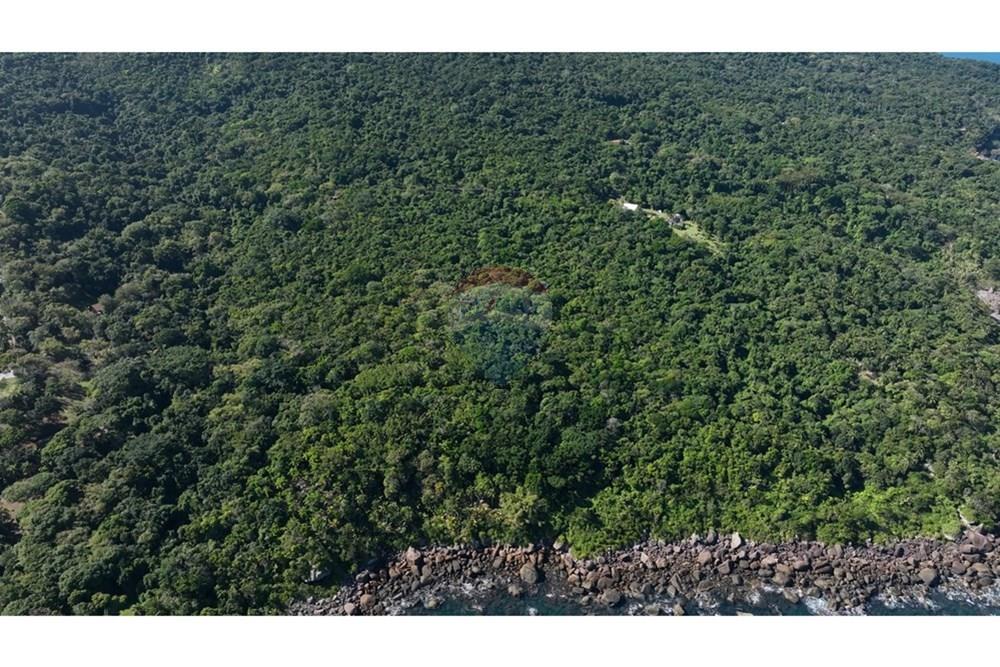Terreno - Venda - Ilhabela , São Paulo - DJI_0139.00_00_11_14.Quadro003.jpg - 630951011-29
