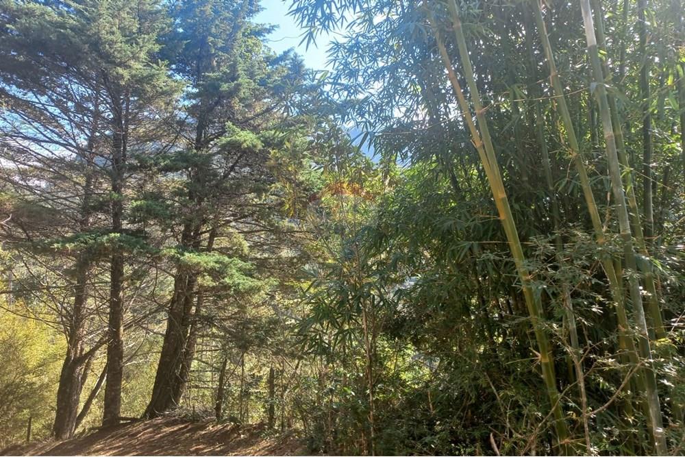 Chácara / Sítio / Fazenda - Venda - Nova Friburgo , Rio de Janeiro - WhatsApp Image 2025-07-21 at 11.11.11 (1).jpeg - 630551037-31