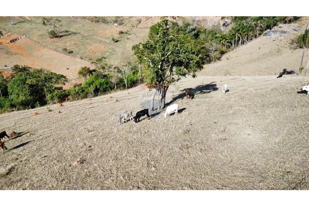 Chácara / Sítio / Fazenda - Venda - Santa Isabel , São Paulo - IMG-20250901-WA0304.jpg - 631491029-10