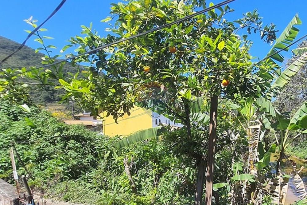 Casa - Venda - Teresópolis , Rio de Janeiro - 20250905_120934.jpg - 630191078-43