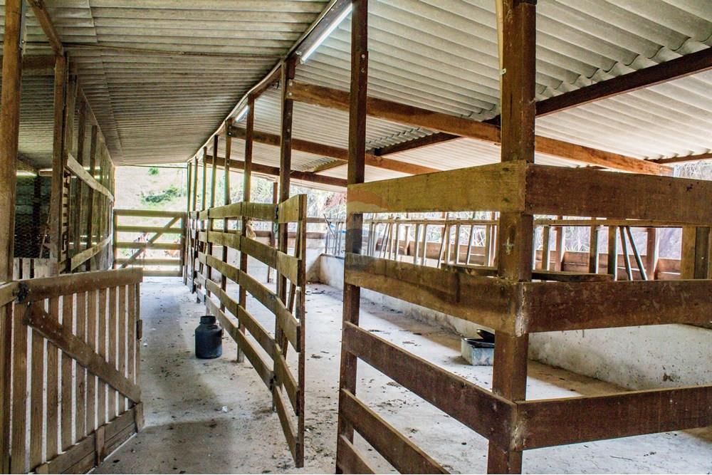 Chácara / Sítio / Fazenda - Venda - Mogi das Cruzes , São Paulo - _MG_7843.jpg - 630281008-100