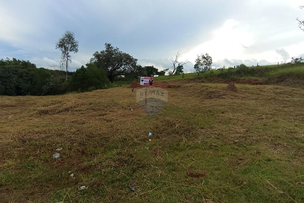 Terreno - Venda - Botucatu , São Paulo - 13-IMG_20250205_172214.jpg - Fachada - 630481103-76
