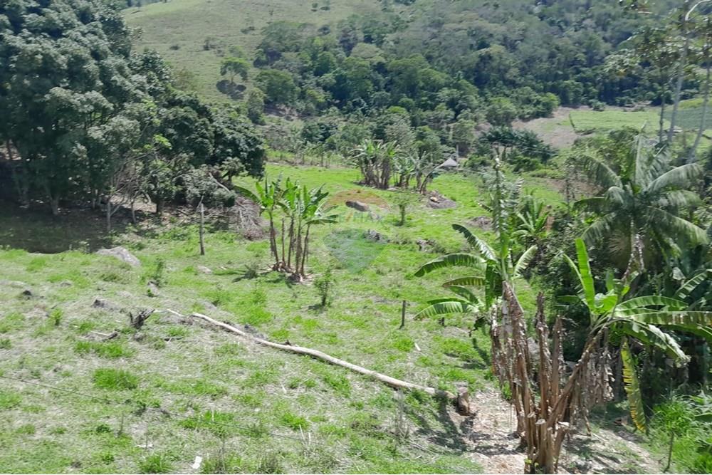 Chácara / Sítio / Fazenda - Venda - Bom Jardim , Rio de Janeiro - WhatsApp Image 2024-11-21 at 09.21.51.jpeg - 630171007-33