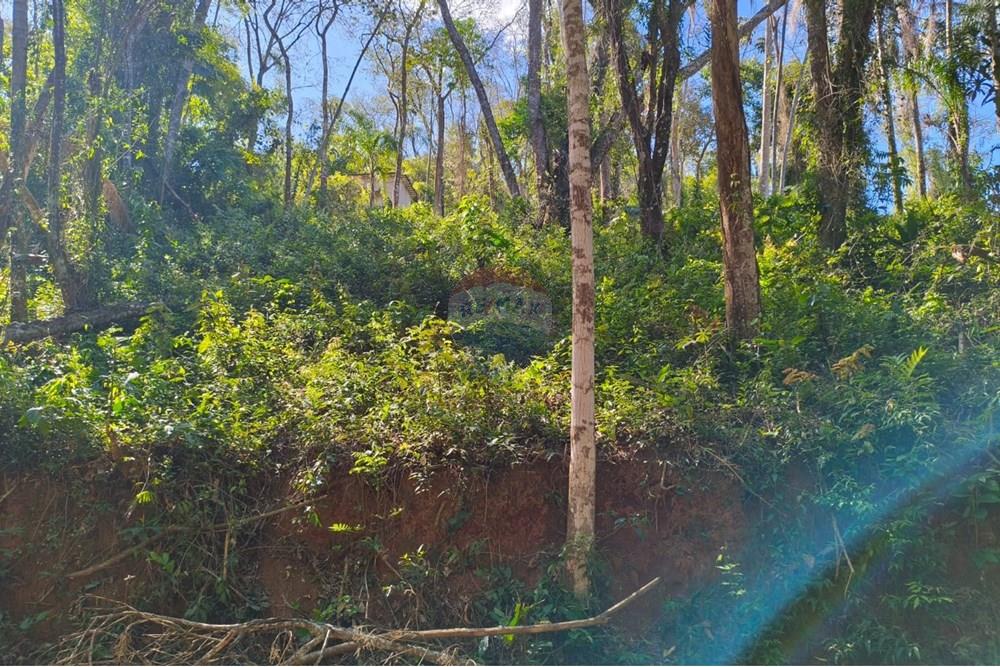 Terreno - Venda - Mairiporã , São Paulo - Terreno rafael.jpg - 631361069-8