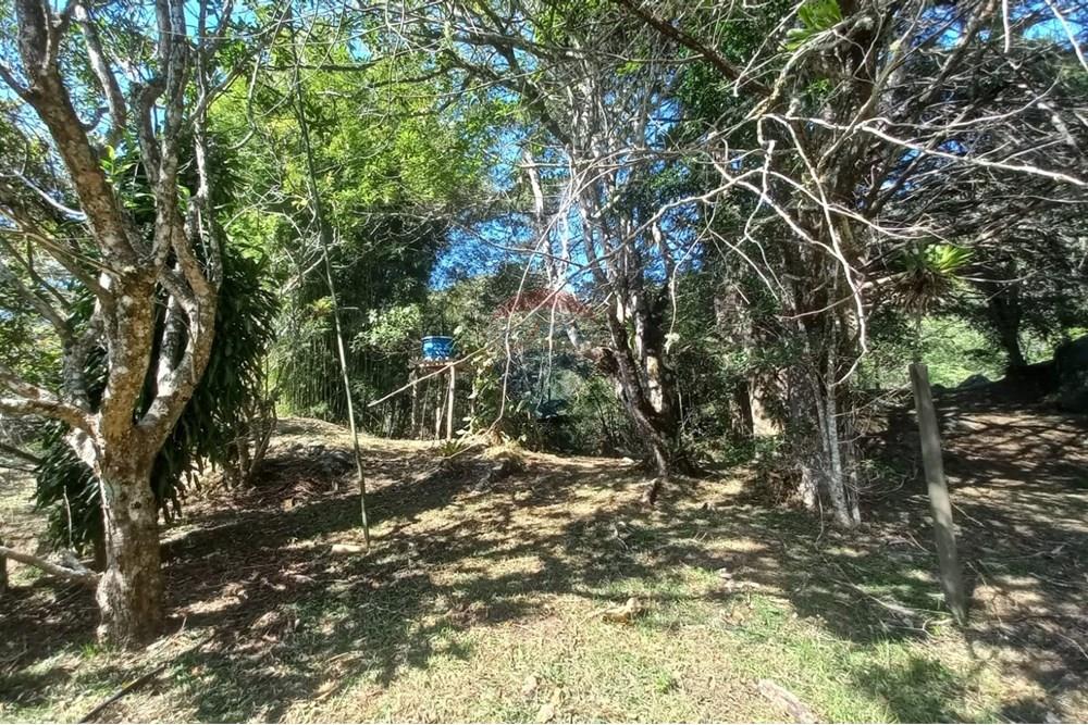 Chácara / Sítio / Fazenda - Venda - Nova Friburgo , Rio de Janeiro - WhatsApp Image 2025-07-21 at 11.11.04.jpeg - 630551037-31