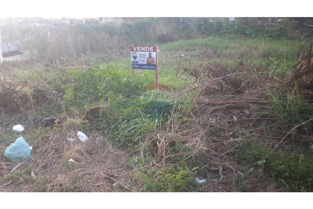 Terreno - Venda - São José do Rio Preto , São Paulo - chrome_5kvBkTxHz8.jpeg - 631321001-116