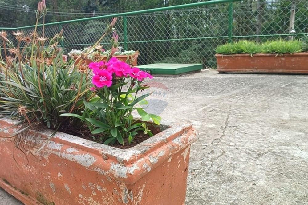 Apartamento - Venda - Nova Friburgo , Rio de Janeiro - bfae2c57-7ac0-4210-a45f-0ef3a87e6c6f.jpg - 630551049-28