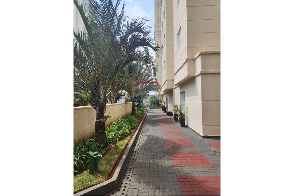 Apartamento - Alugar - Guarulhos , São Paulo - WhatsApp Image 2025-10-03 at 14.42.24 (3).jpeg - 631421024-2