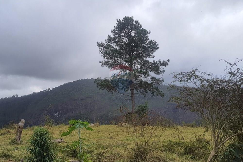 Fazenda - Venda - Teresópolis , Rio de Janeiro - 20250702_154115.jpg - 630191078-25