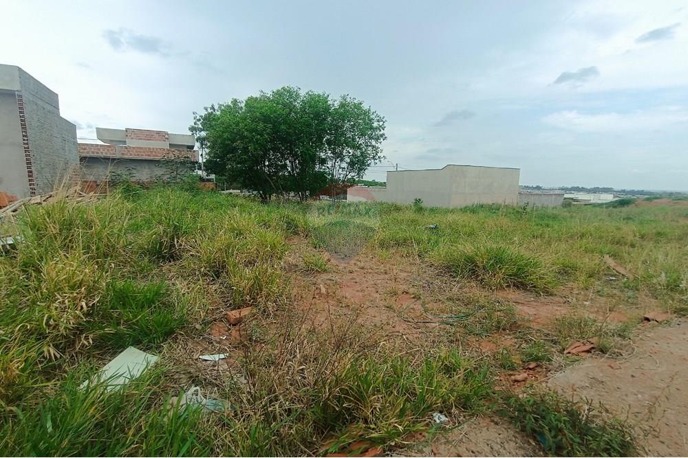 Terreno - Venda - Presidente Prudente , São Paulo - IMG_20251028_120226.jpg - 630861066-13