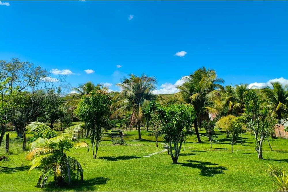 Chácara / Sítio / Fazenda - Venda - Rio Bonito , Rio de Janeiro - WhatsApp Image 2025-09-22 at 14.46.00 (1).jpeg - 631351026-2