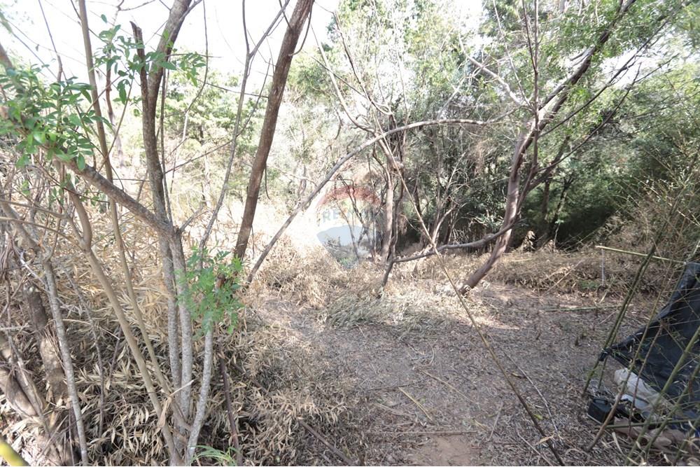 Terreno - Venda - São Roque , São Paulo - IMG_4741.JPG - 631601017-17