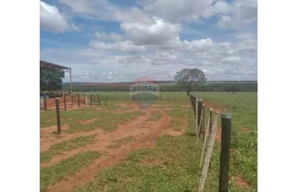 Chácara / Sítio / Fazenda - Venda - Junqueirópolis , São Paulo - WhatsApp Image 2024-10-26 at 10.20.03 (1).jpeg - 630541038-36