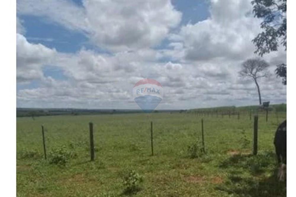 Chácara / Sítio / Fazenda - Venda - Junqueirópolis , São Paulo - WhatsApp Image 2024-10-26 at 10.20.02 (4).jpeg - 630541038-36