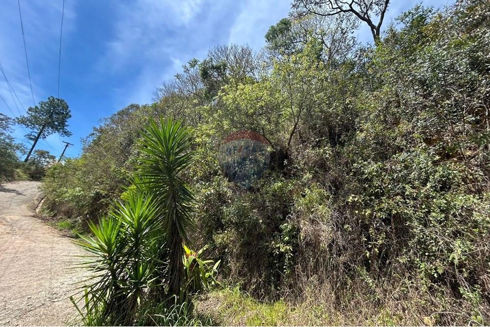 Terreno - Venda - Mairiporã , São Paulo - Imagem do WhatsApp de 2025-10-20 à(s) 12.13.02_169bec1e.jpg - 631361005-153