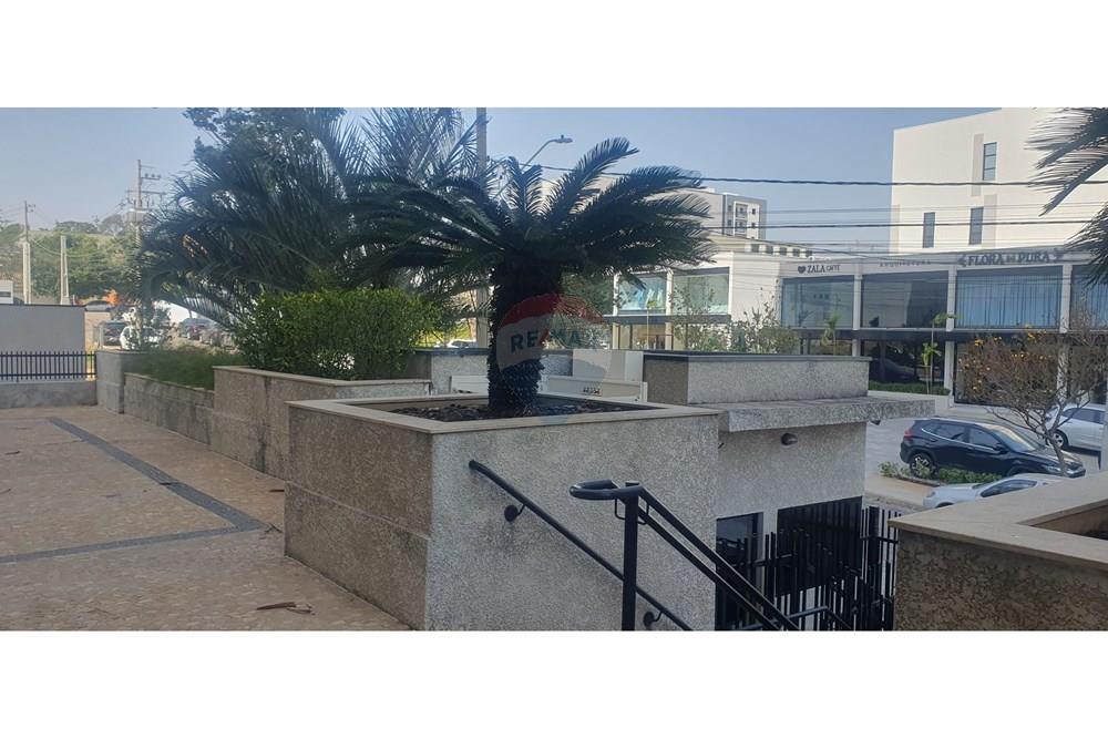 Apartamento - Alugar - Itu , São Paulo - 20240823_132217.jpg - 631281008-181