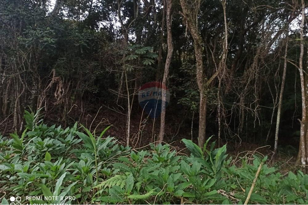 Terreno - Venda - Mairiporã , São Paulo - WhatsApp Image 2025-08-02 at 00.48.43 (2).jpeg - 631361025-36